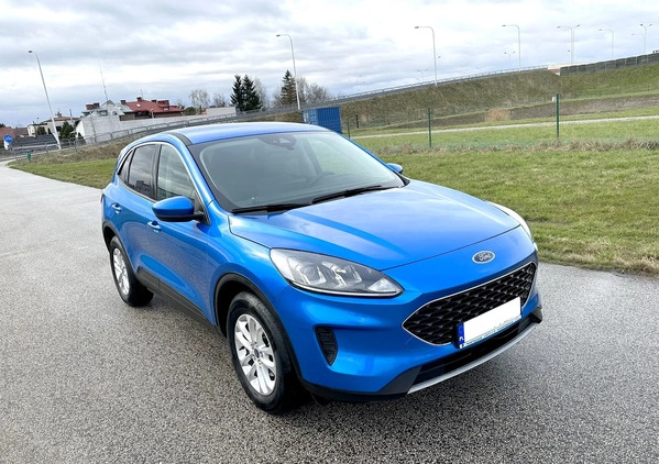 Ford Kuga cena 76999 przebieg: 8000, rok produkcji 2019 z Skórcz małe 67